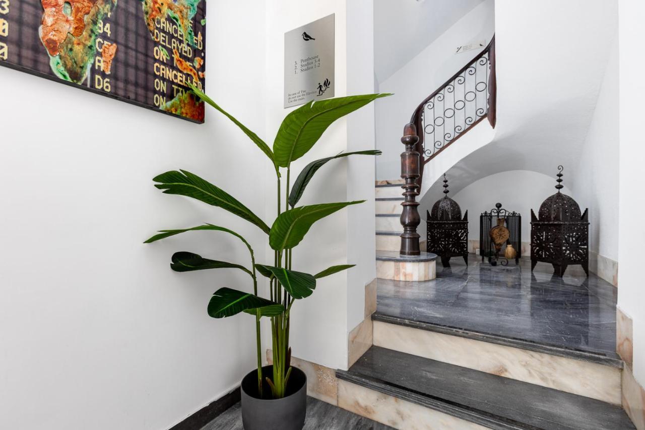 Pinzon Studios & Penthouse Alicante Dış mekan fotoğraf